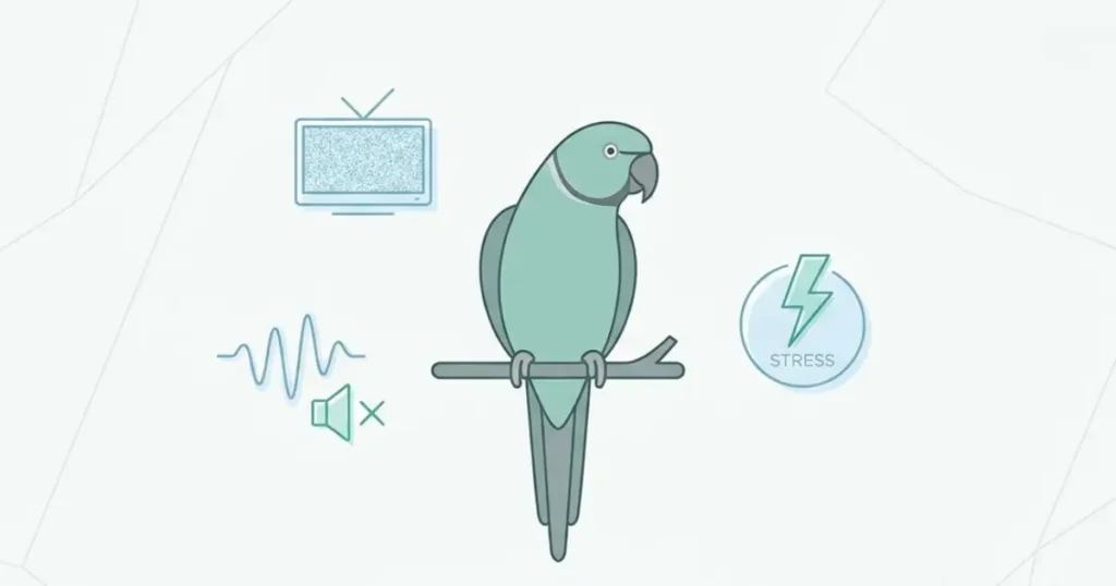 indian ringneck talking issues caused by noise and environmental distractions