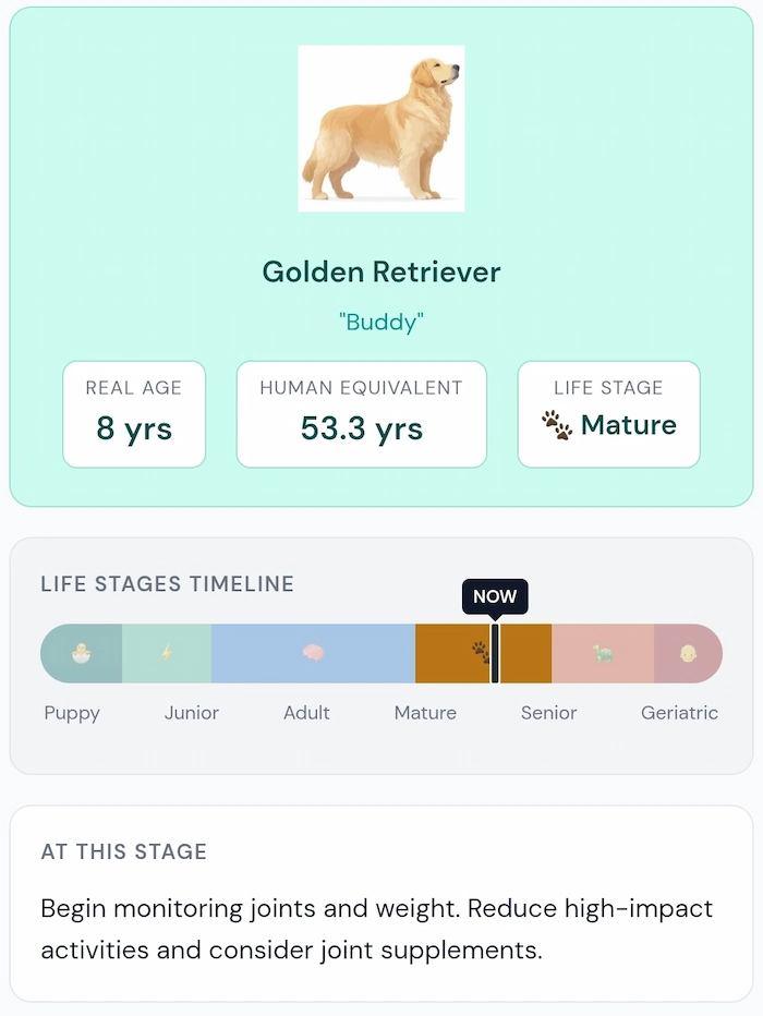 Pet age calculator result for a Golden Retriever — showing 53.3 human years, Mature life stage, and 6-stage timeline