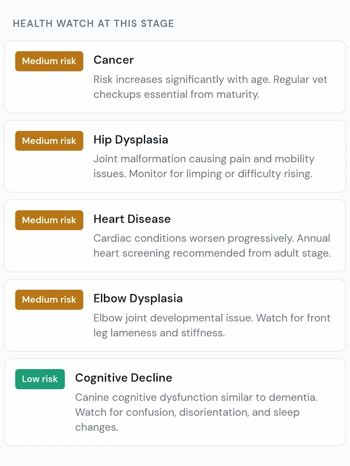 Health Watch section of the pet age calculator showing Medium and Low risk conditions for a Golden Retriever at Mature stage