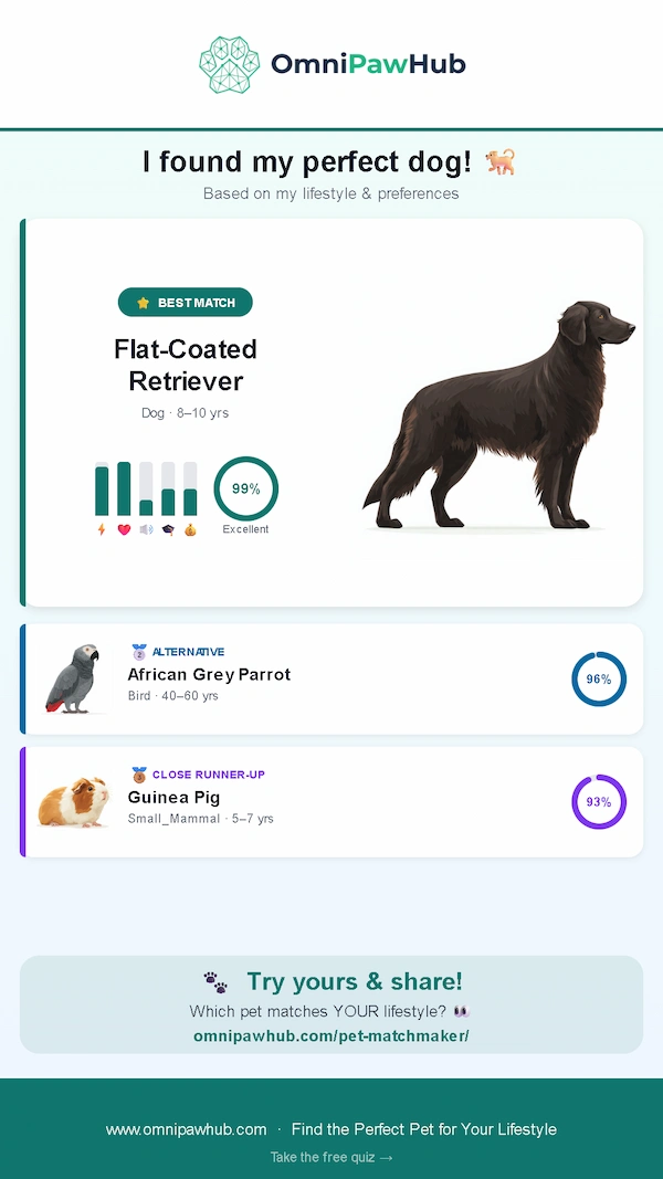 OmniPawHub pet matchmaker shareable results card for Instagram and TikTok